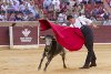 II Jornadas de Puertas abiertas